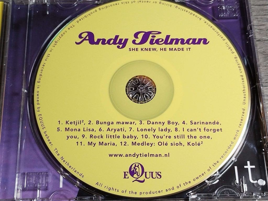 Andy Tielman - She Knew, He Made It, Cd's en Dvd's, Ophalen of Verzenden, Zo goed als nieuw