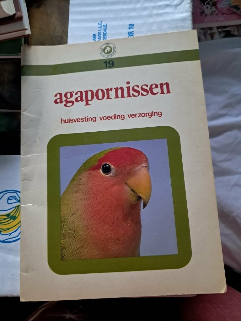 Agapornissen, Ophalen, Gelezen, Vogels