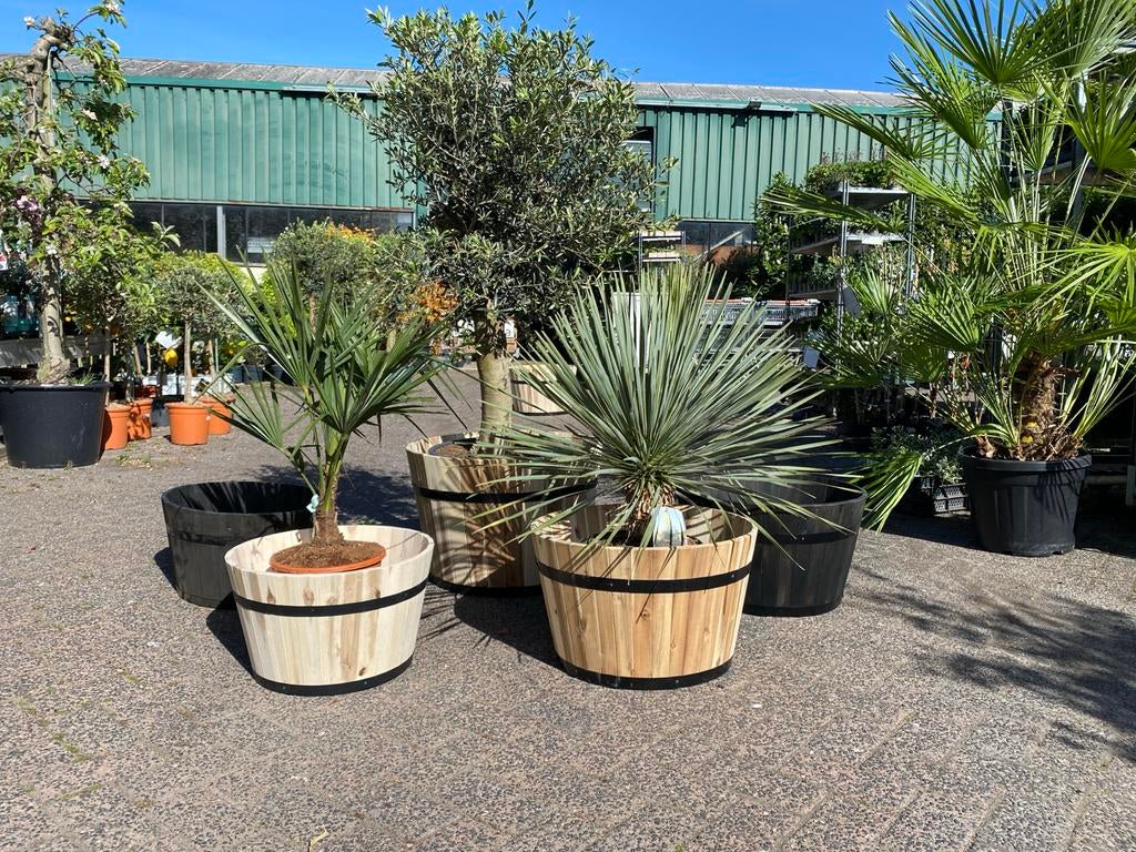 Houten plantenbakken acacia barrel wit en zwart, Ophalen, Gebruikt, Balkon, Rond