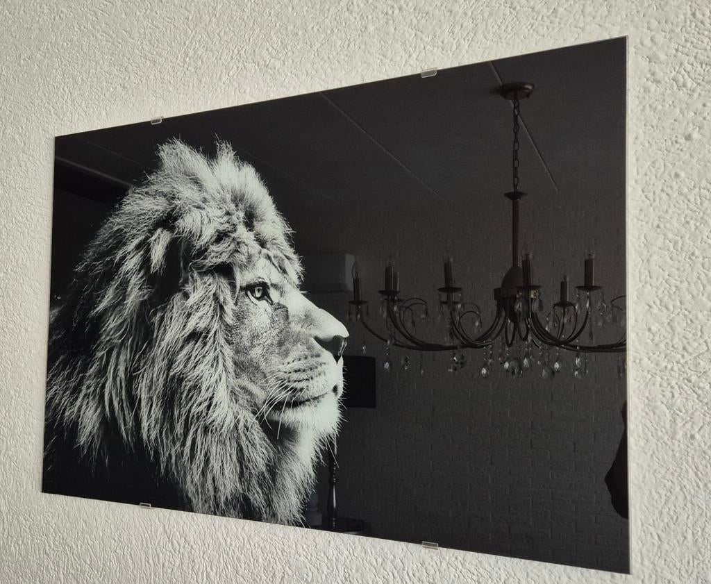 Glazen schilderij, Ophalen, 50 tot 75 cm, Schilderij, 75 cm of meer