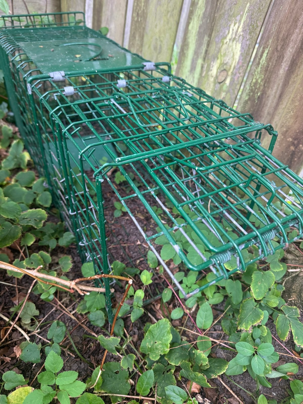 Vangkooi, Dieren en Toebehoren, Ophalen of Verzenden