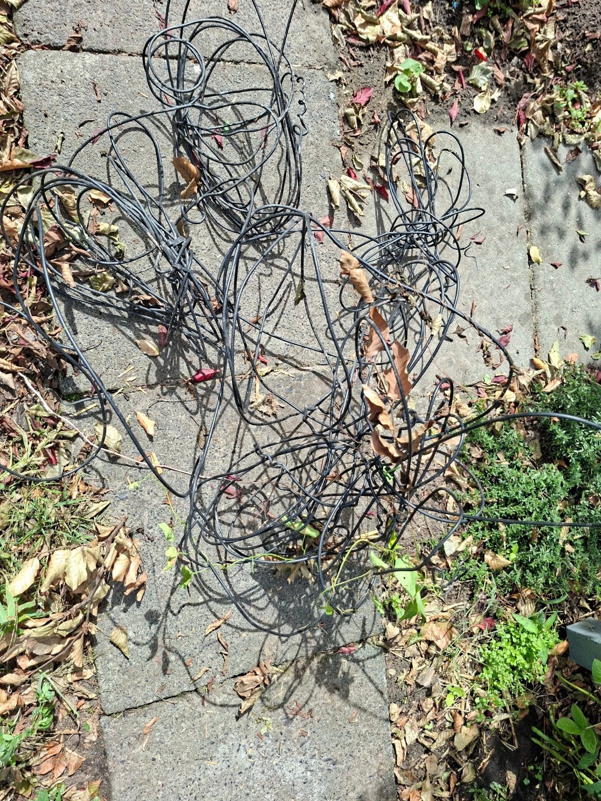Draad stevig dik ijzer. losse stukken. ideaal moestuin, Ophalen, Gebruikt, Minder dan 10 meter, Draad