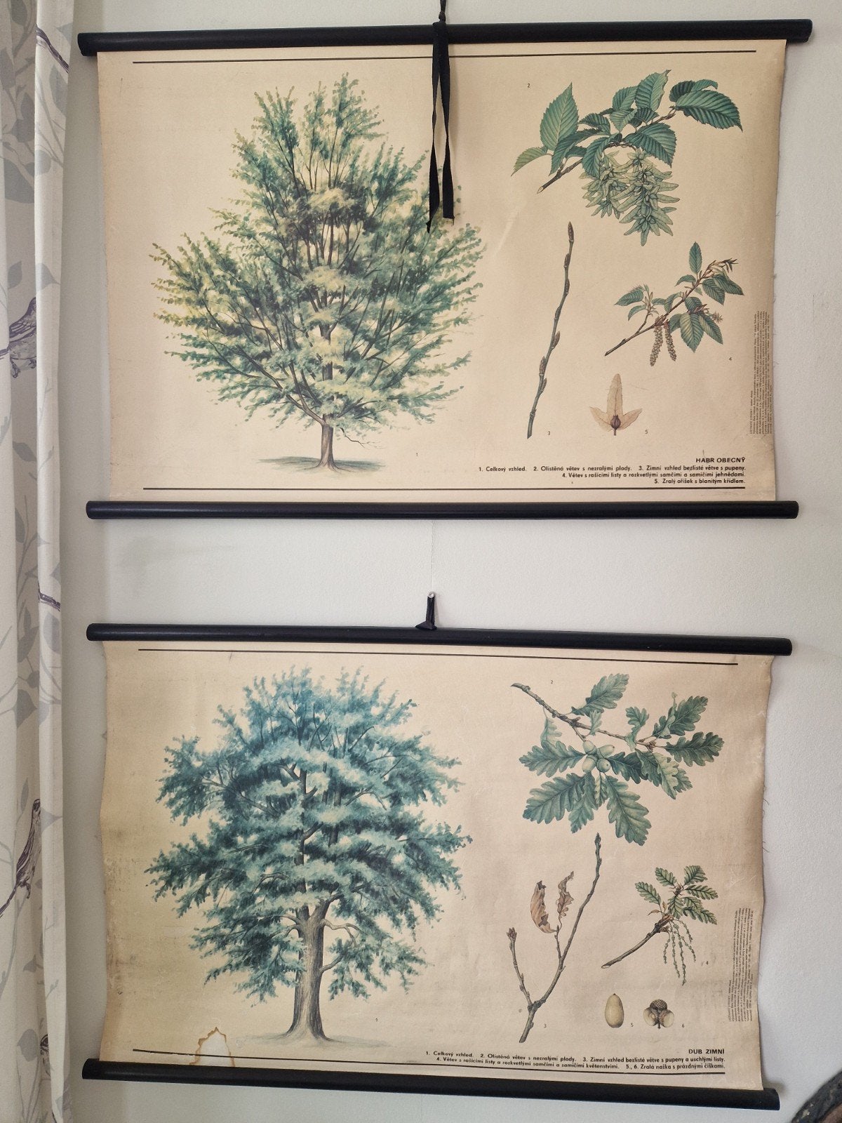 2 antieke schoolplaten, Antiek en Kunst, Ophalen