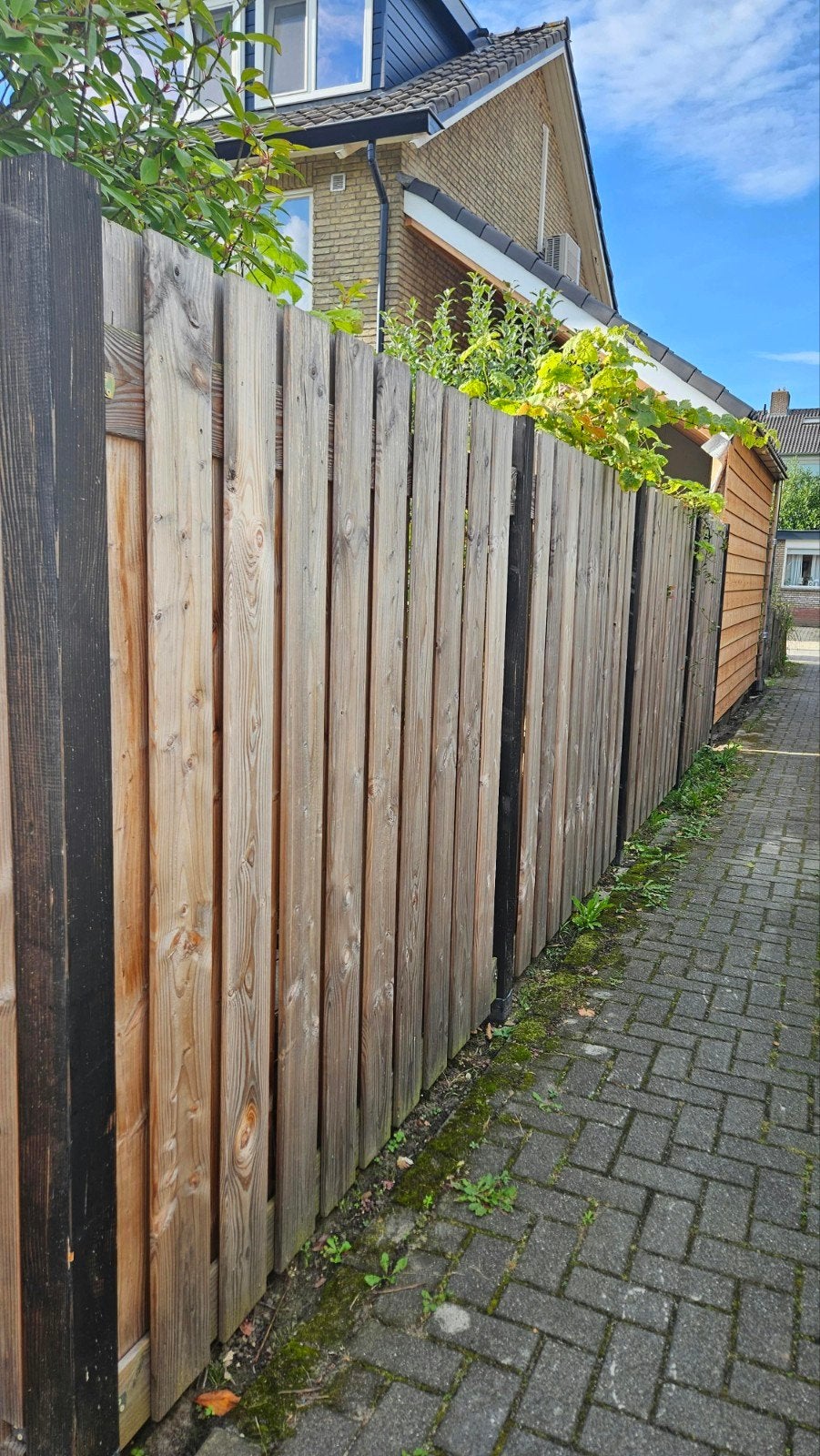 Douglas schuttingpanelen + zwarte palen (diverse maten), Tuin en Terras, Ophalen, Zo goed als nieuw, Hout, 1 tot 2 meter