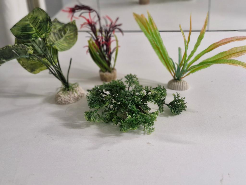 Decoratie planten schildpadden of aquarium, Dieren en Toebehoren, Ophalen, Gebruikt, Decoratie