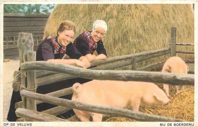 301-165-037 Veluwe Bij de Boerderij, Verzenden, Voor 1920, Gelderland