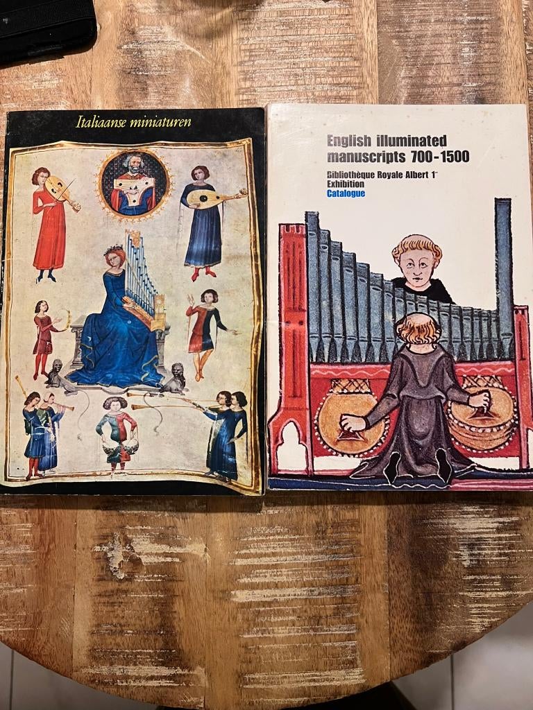 2 boeken rond middeleeuwse miniaturen: Italiaanse miniaturen, Ophalen of Verzenden, Gelezen, Overige onderwerpen