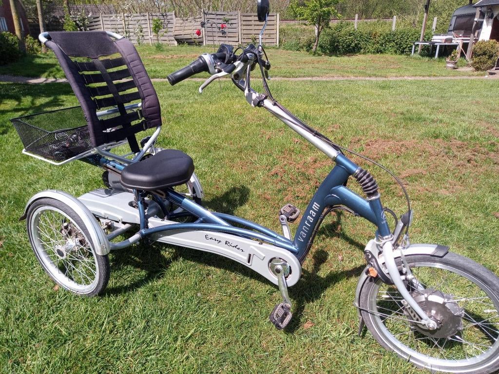 Van Raam Easy Rider zgan, Ophalen, Zo goed als nieuw, Van Raam