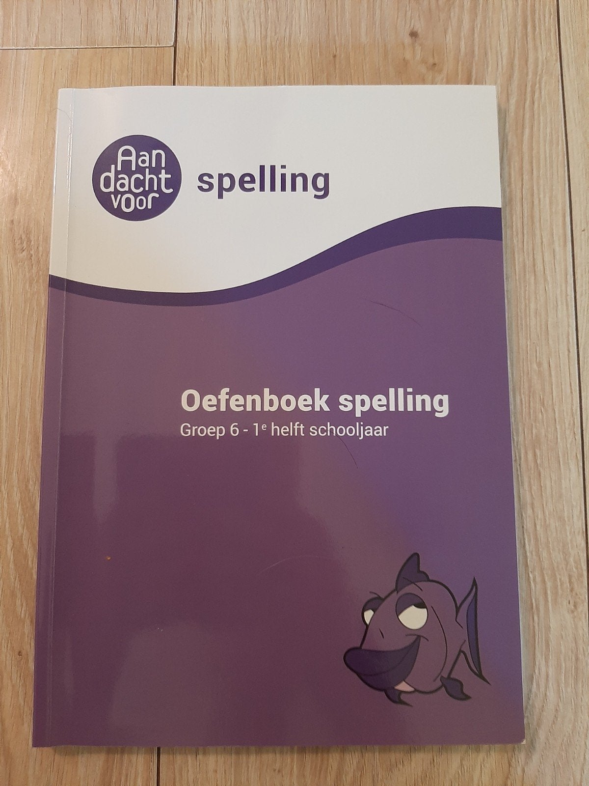 Spelling groep 6 Oefenboek - 1e helft schooljaar, Onbekend, Ophalen of Verzenden, Zo goed als nieuw, Nederlands