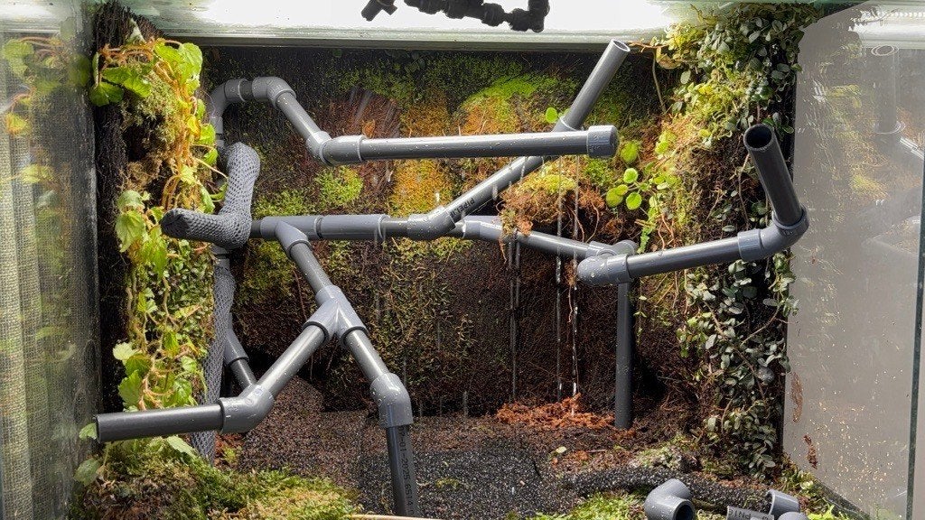 Prachtig compleet kikkerterrarium 60x50x50 met onderkast Frog photo 4