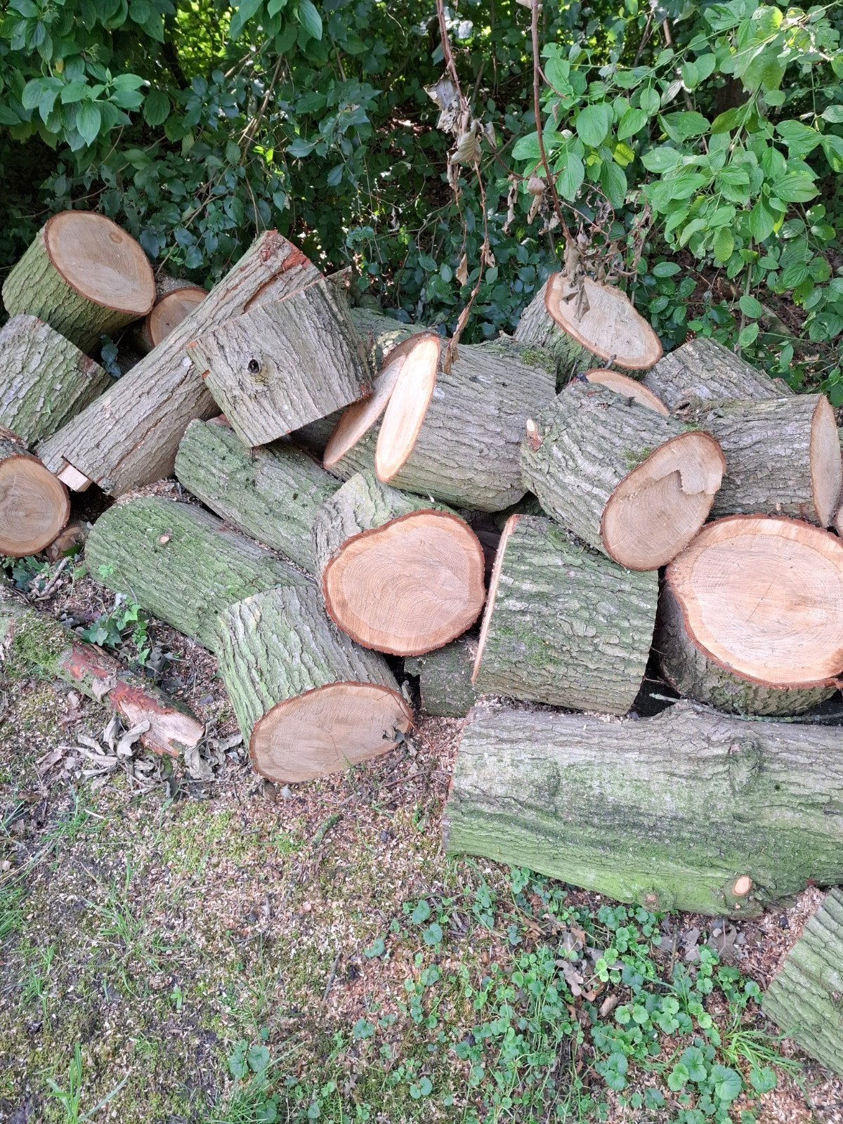 Te koop, Tuin en Terras, Haardhout, Minder dan 3 m³, Ophalen of Verzenden