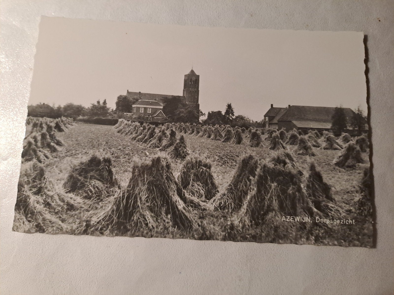 Azewijn, Ophalen of Verzenden