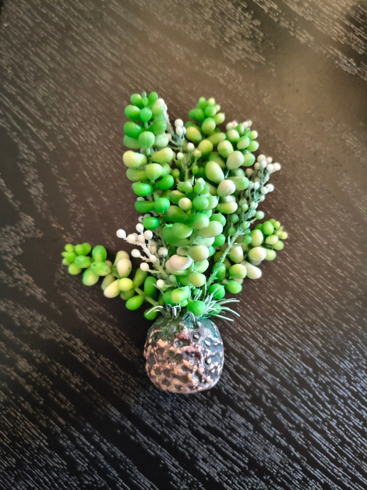 Biorb aquarium plant ornament vis fish tank, Dieren en Toebehoren, Ophalen of Verzenden, Zo goed als nieuw, Plant(en), Steen of Hout
