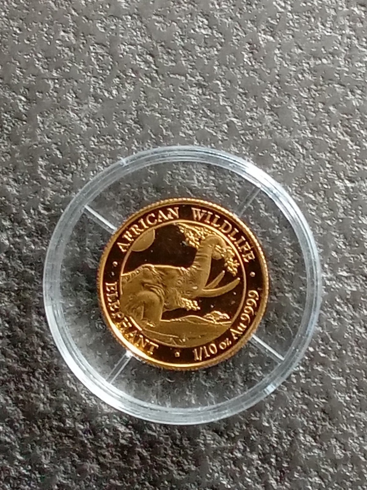 1/10 Oz 999,9 Gouden Somali Wildlife Elephant 2023, Verzenden, Overige landen, Setje, Goud