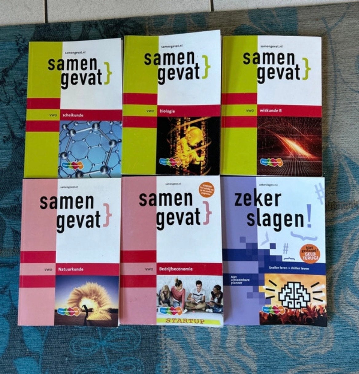 Samengevat & Examenbundel VWO Scheikunde Biologie Wiskunde B, Boeken, Ophalen of Verzenden, Gelezen, VWO, Scheikunde