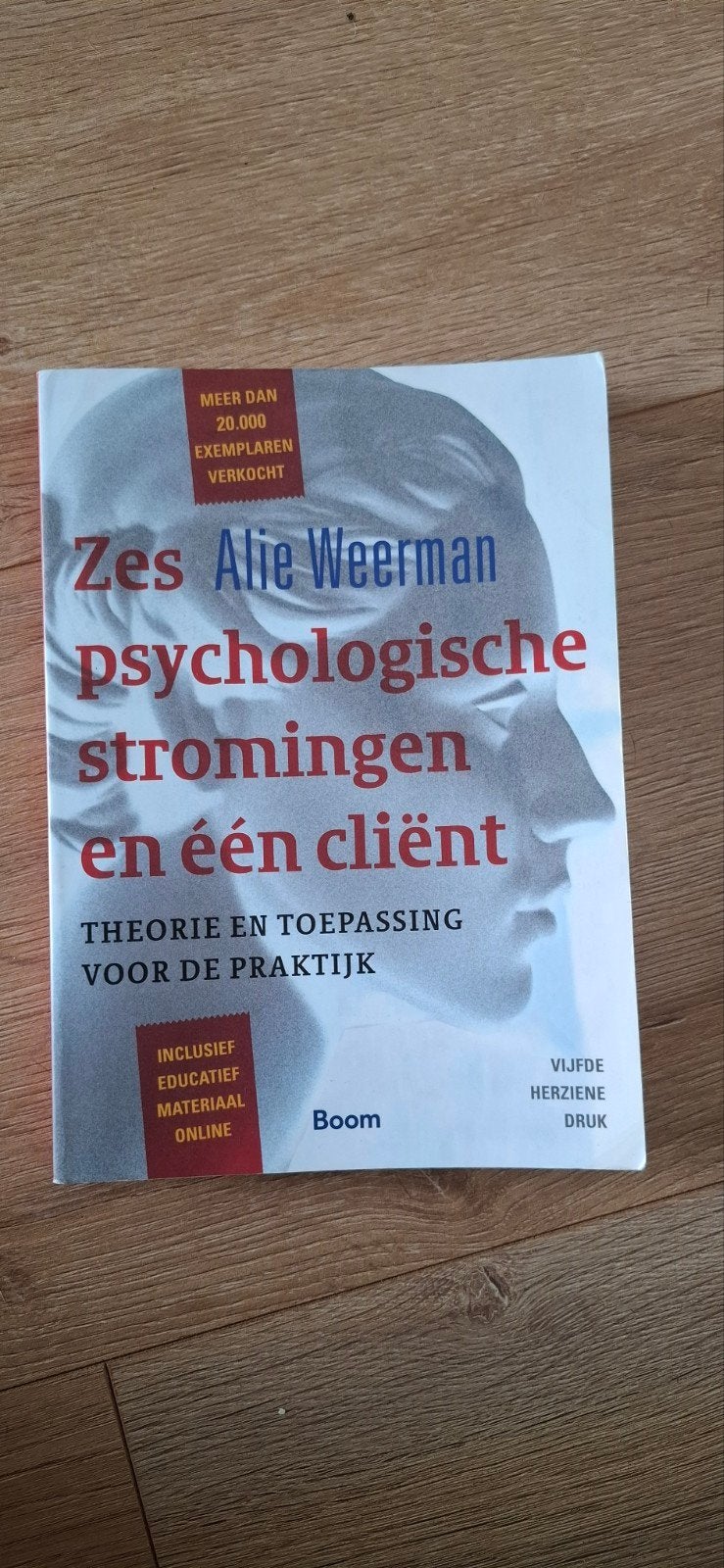 Zes psychologische stromingen en één client, Boeken, Gelezen, Alie Weerman, Gamma, HBO