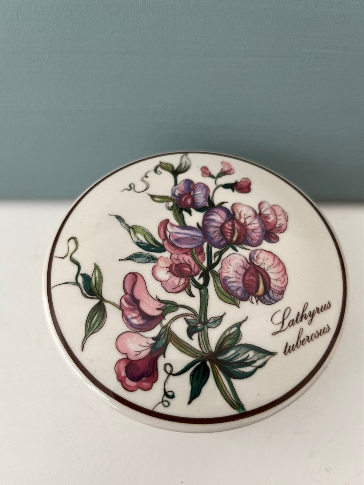 Villeroy & Boch Lathyrus Tuberous Doosje, Ophalen of Verzenden