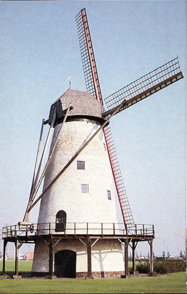 (BG076) Ansichtkaart België Lillo molen De Eenhoorn 1999, Ophalen of Verzenden, 1980 tot heden, Ongelopen, Antwerpen