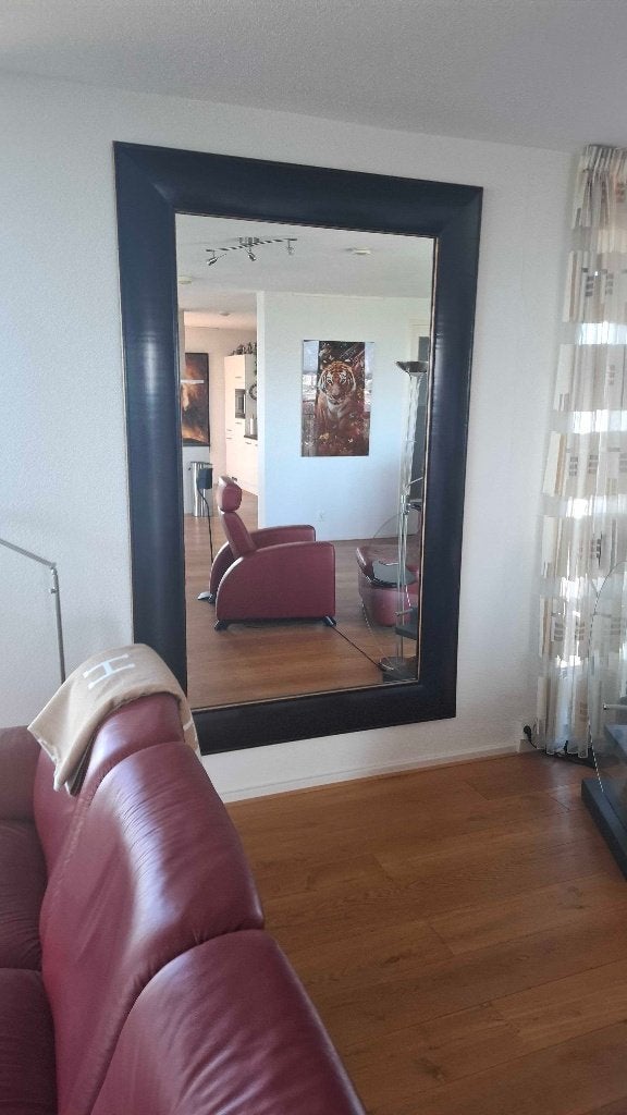 Spiegel (groot formaat), Huis en Inrichting, Woonaccessoires | Spiegels, Ophalen, 200 cm of meer, 125 cm of meer, Zo goed als nieuw