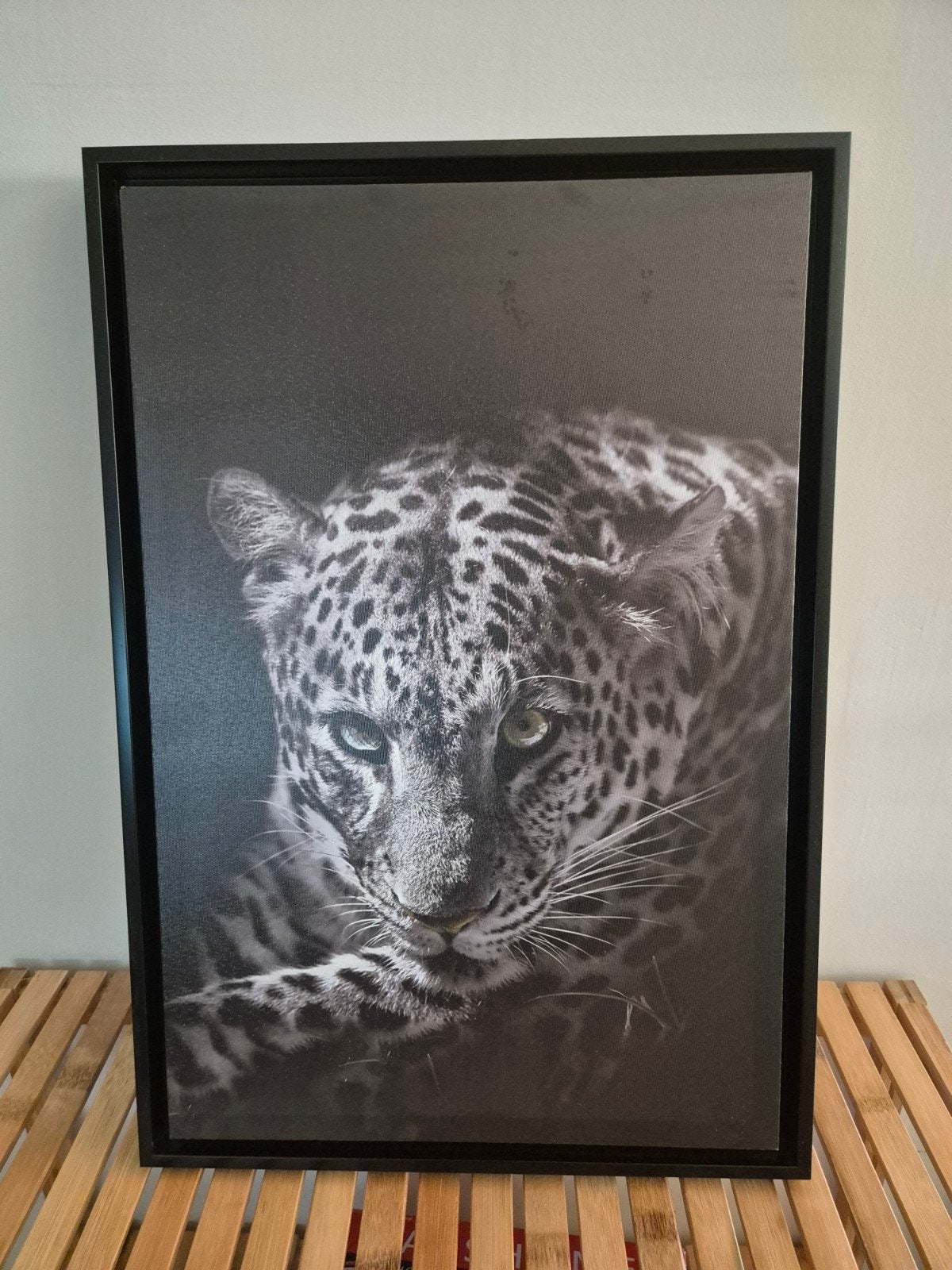 Canvas schilderij van een luipaard, 44 x 64 cm, Ophalen, 50 – 75, Minder dan 50 cm, Zo goed als nieuw