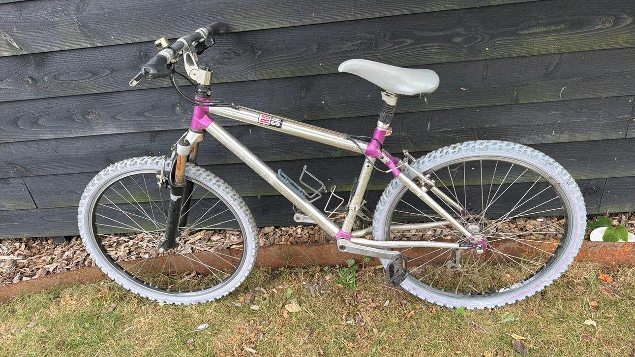 Dames mountainbike 24 versnellingen, Fietsen en Brommers, Fietsen | Mountainbikes en ATB, Gebruikt, 45 tot 49 cm, Dames, Ophalen