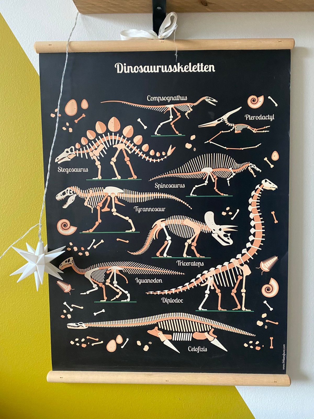 Poster dinosaurussen, Ophalen