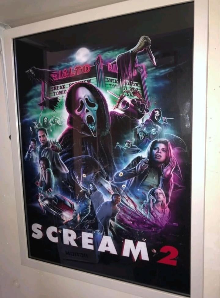 Scream 2, Ophalen of Verzenden, Zo goed als nieuw, A1 t/m A3, Film en Tv