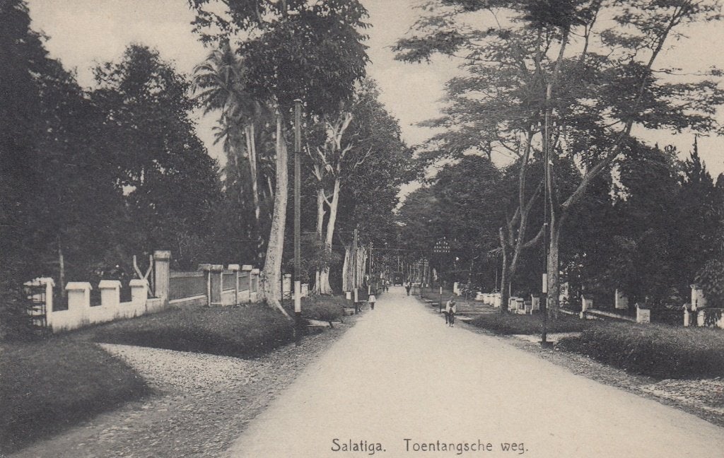 Ned.Indie - Salatiga, Verzamelen, Verzenden, Voor 1920, Ongelopen, Buiten Europa