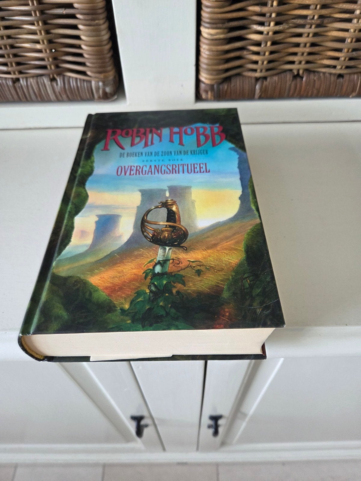 Robin Hobb - Overgangsritueel, Boeken, Ophalen of Verzenden, Zo goed als nieuw, Robin Hobb