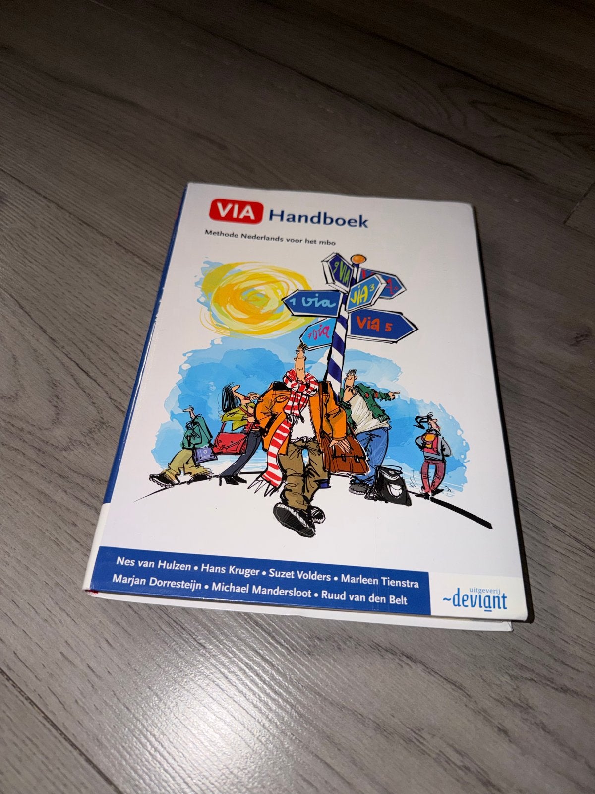 VIA Handboek Methode Nederlands voor het mbo, Boeken, Ophalen of Verzenden, Zo goed als nieuw, Overige niveaus, Nederlands