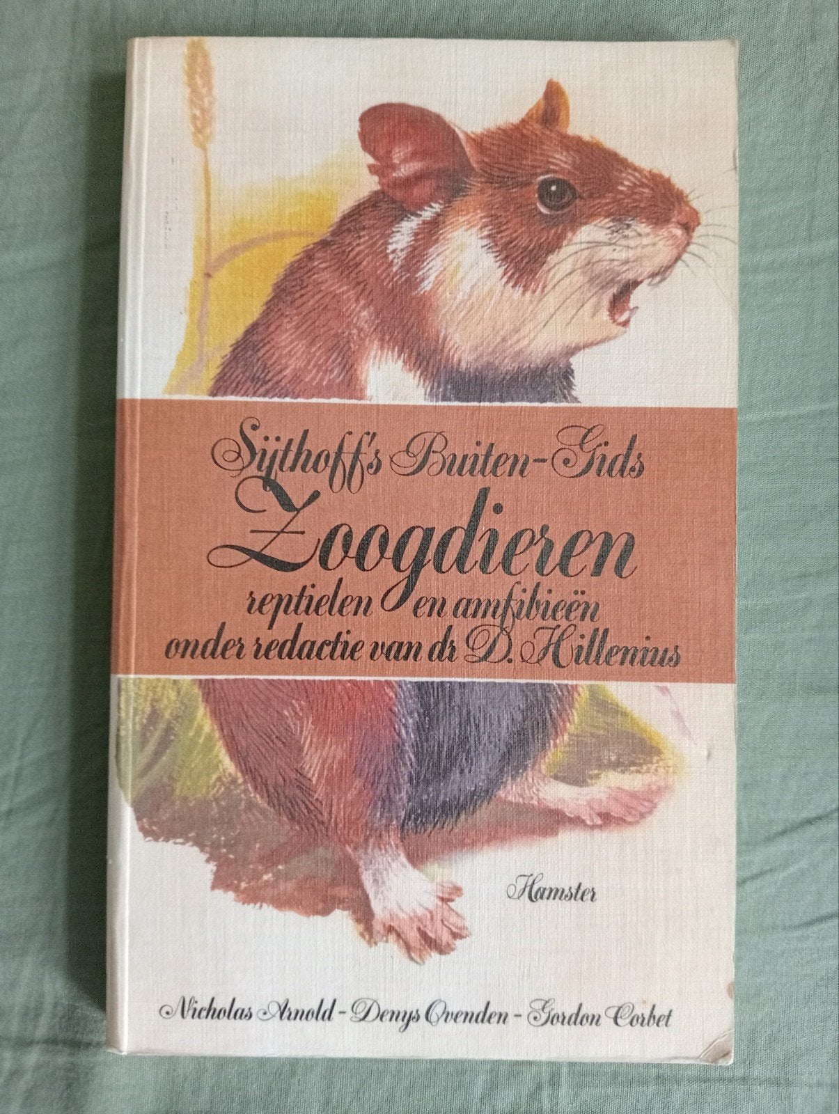 Sijthoff's Buiten-Gids: Zoogdieren, reptielen en amfibieën, Boeken, Ophalen of Verzenden, Gelezen, Nicholas Arnold, Denys Ovenden, Gordon Corbet