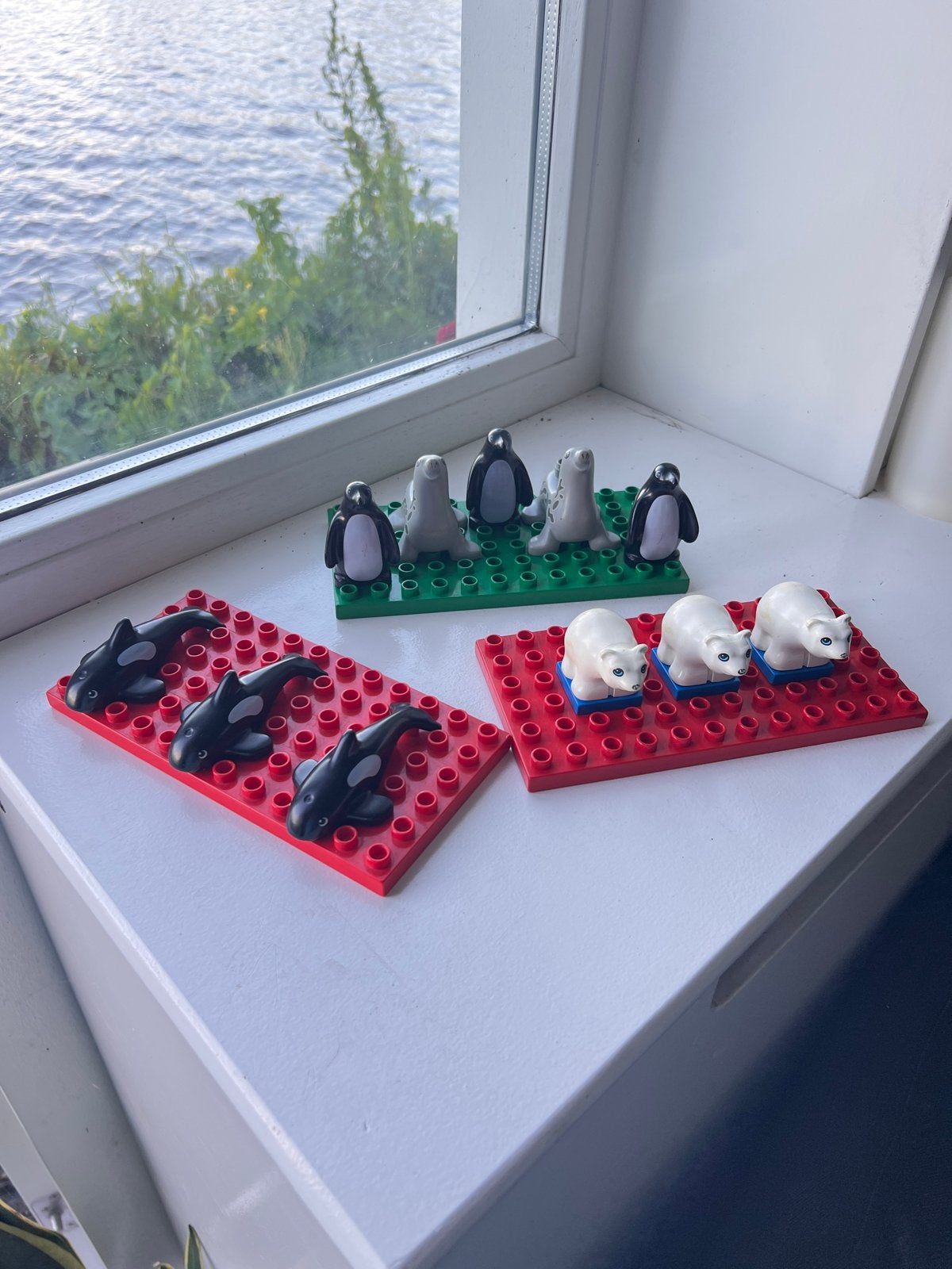 Lego Duplo Dieren: Orka's, Zeehonden, Pinguïns, IJsberen, Ophalen of Verzenden, Zo goed als nieuw, Overige merken
