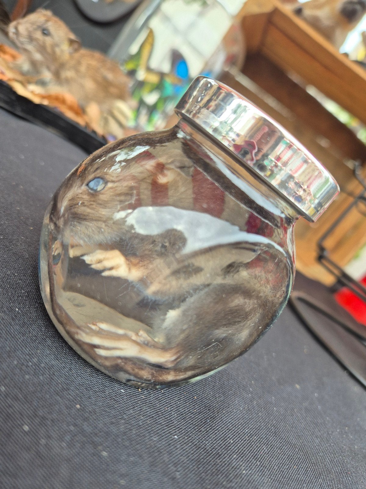 Te koop: muisje op sterk water, Verzamelen, Dierenverzamelingen, Ophalen of Verzenden, Nieuw, Wild dier, Beeldje of Figuurtje
