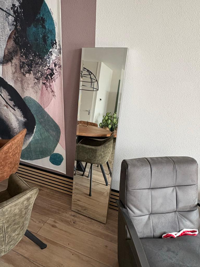 Spiegel 160 x 40, Huis en Inrichting, Woonaccessoires | Spiegels, Ophalen, Minder dan 50 cm, Zo goed als nieuw, 150 tot 200 cm