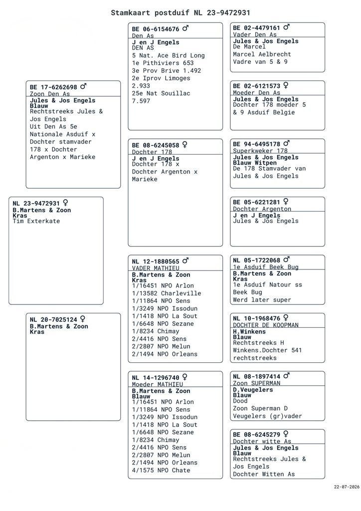 4 rechtstreekse B. Martens & Zoon. Midfond & Dagfond, Meerdere dieren, Postduif