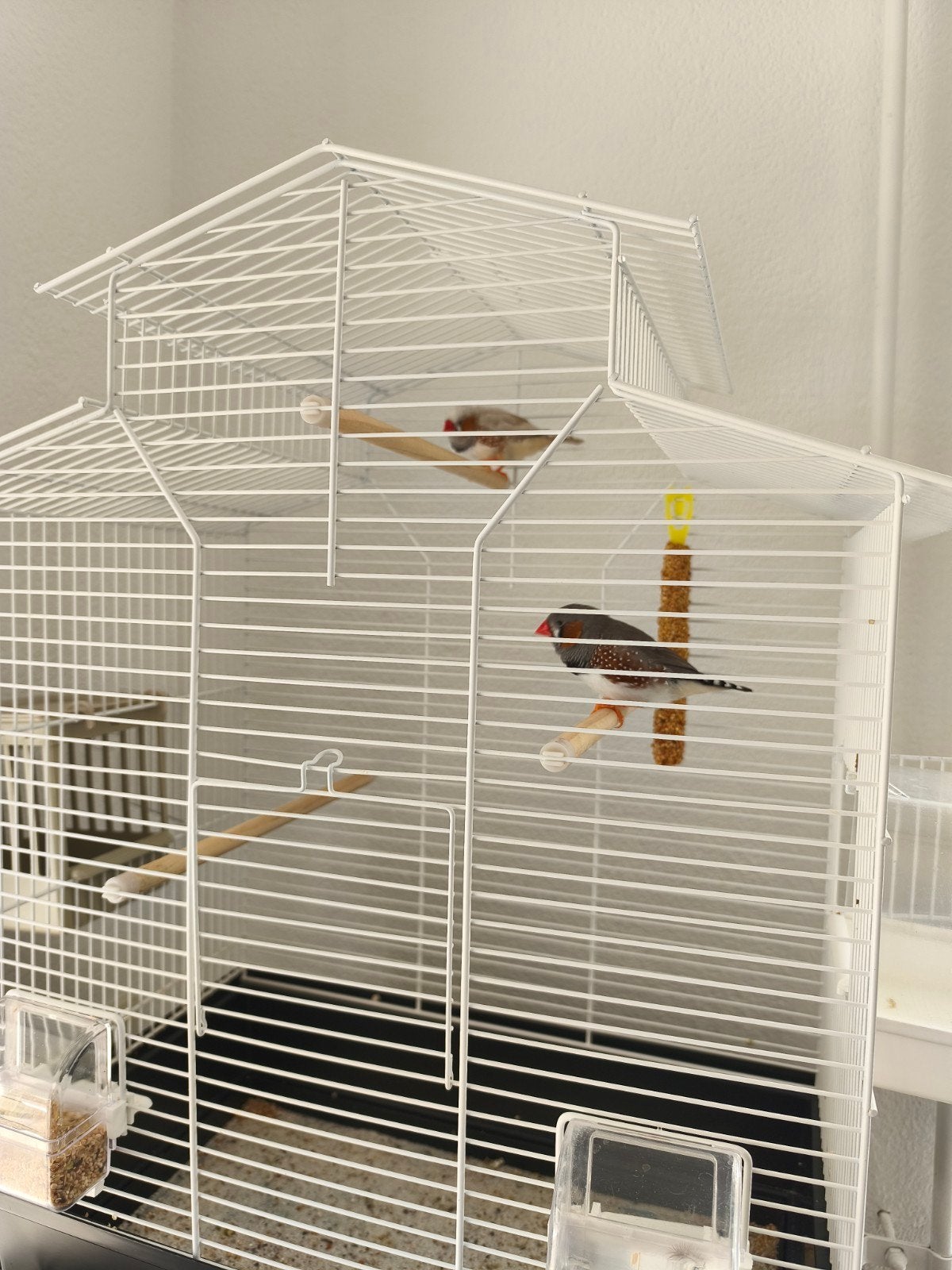 Te koop, vogelkooi met 2 zebravinken en alle toebehoren., Dieren en Toebehoren, Ophalen, Vogelkooi