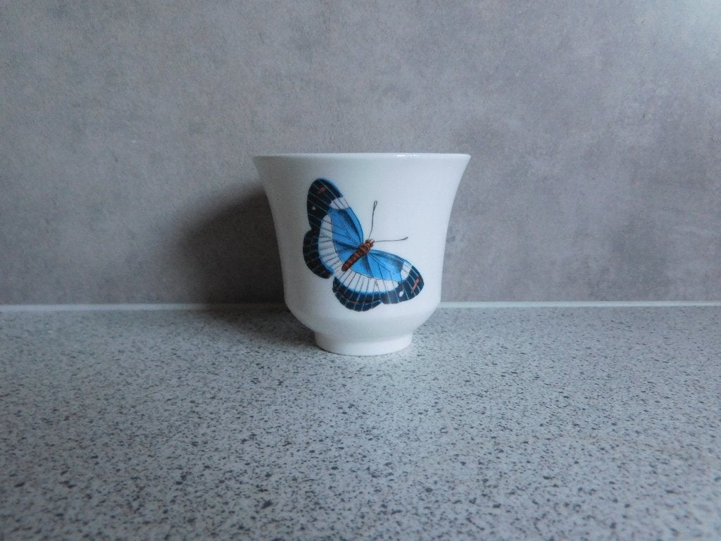 Pot 7x7 cm. Botanic Garden Portmeirion, Ophalen of Verzenden