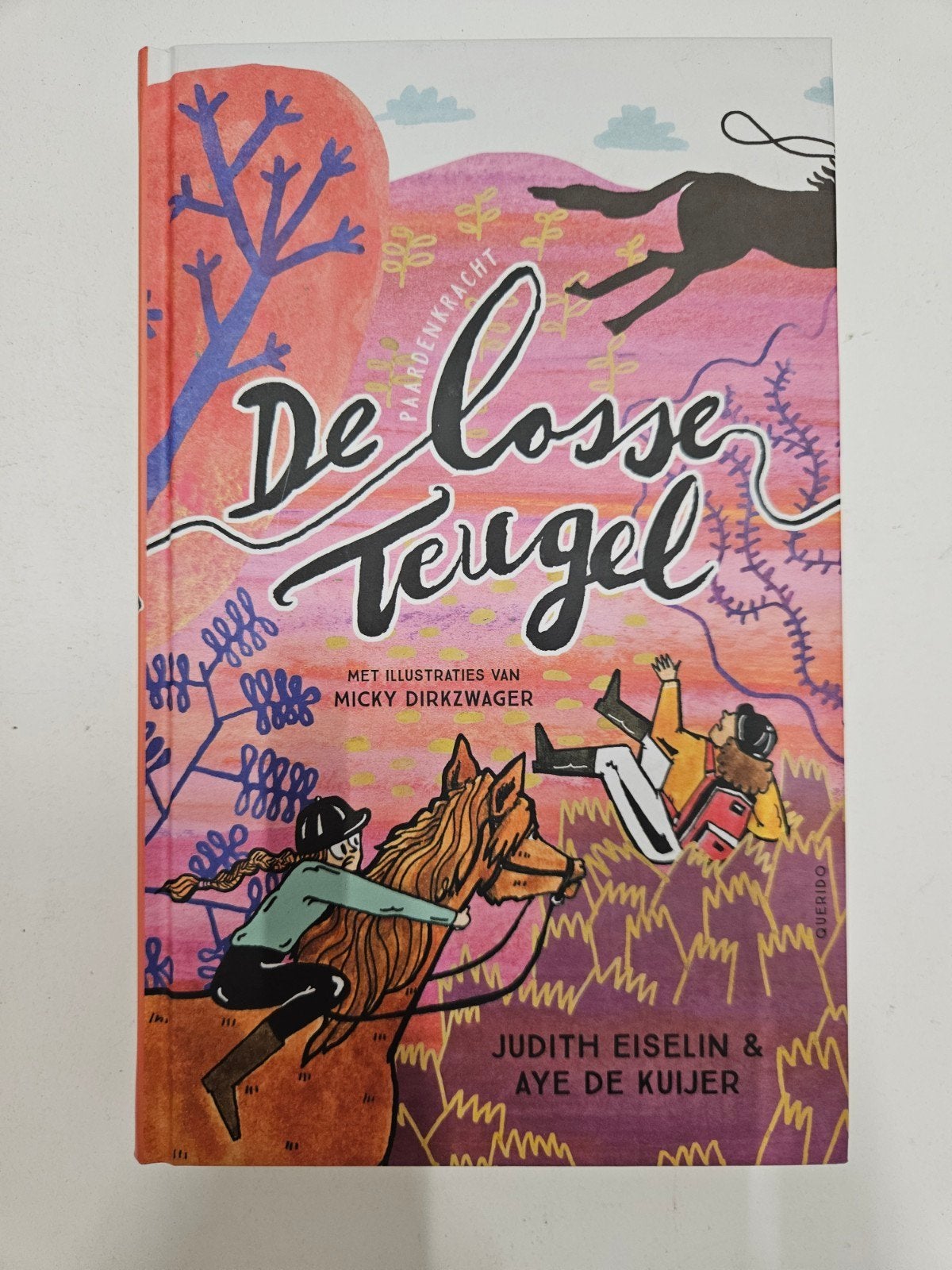 Judith Eiselin - De losse teugel, Fictie algemeen, Ophalen of Verzenden, Zo goed als nieuw, Judith Eiselin; Aye de Kuijer