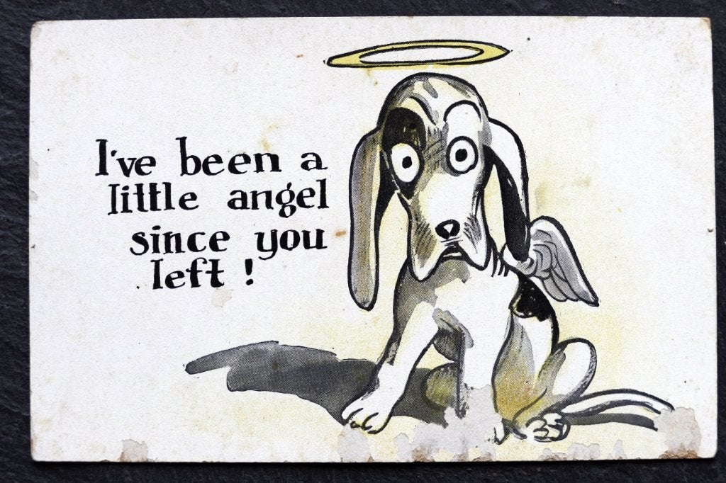 Hond is heel braaf geweest sinds het baasje vertrok, Verzenden, Voor 1920, Ongelopen, Hond of Kat