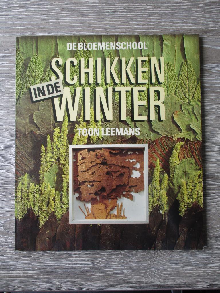 Schikken in de winter - Toon Leemans, Ophalen of Verzenden, Gelezen, Overige onderwerpen