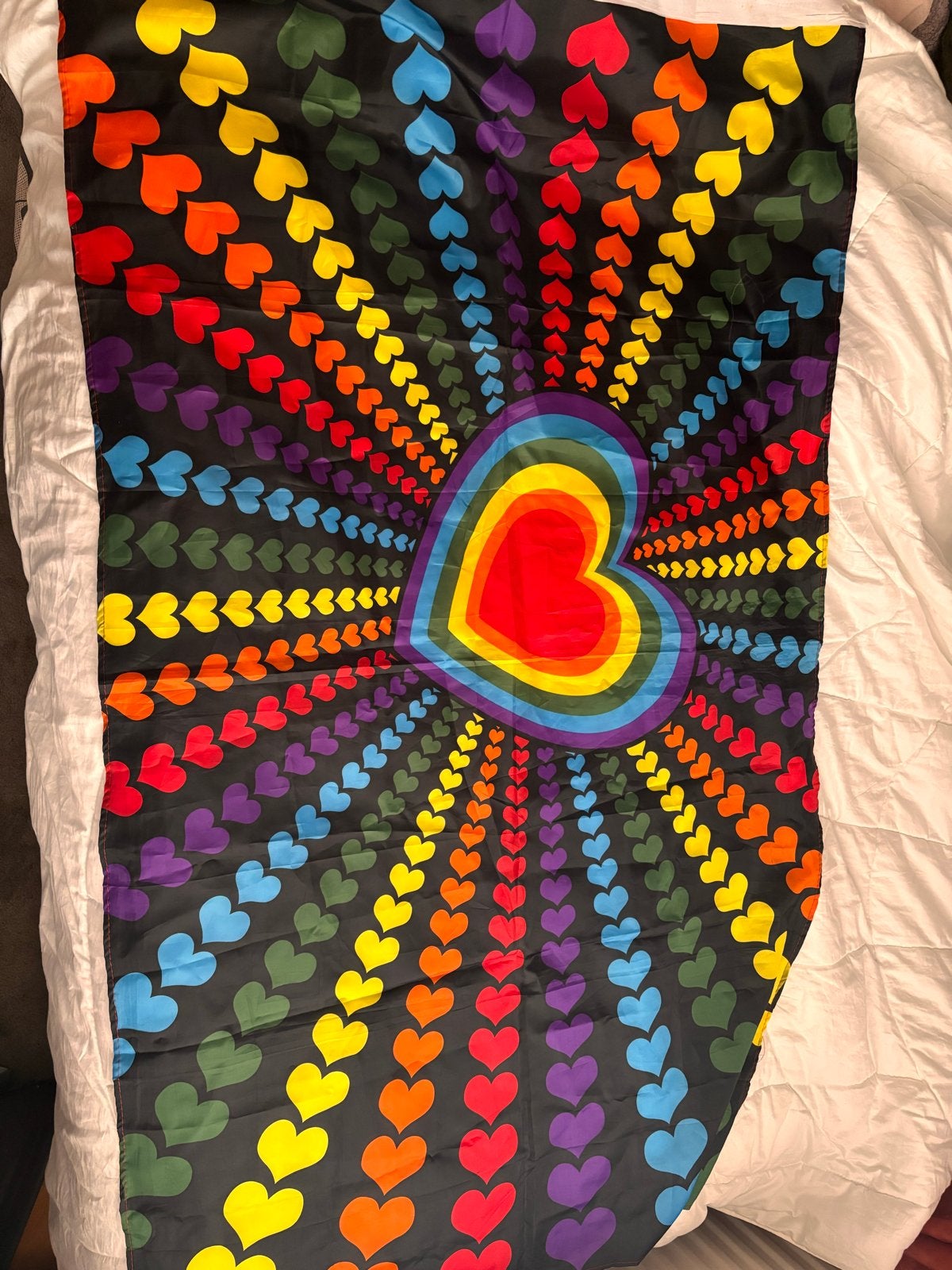 Pride vlag, Ophalen of Verzenden, Nieuw