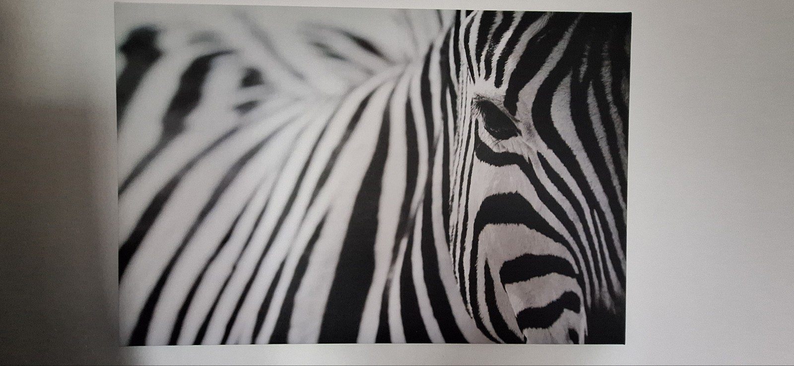 Zwart-wit zebra canvas schilderij -, Ophalen, Zo goed als nieuw, 75 tot 100 cm, Schilderij