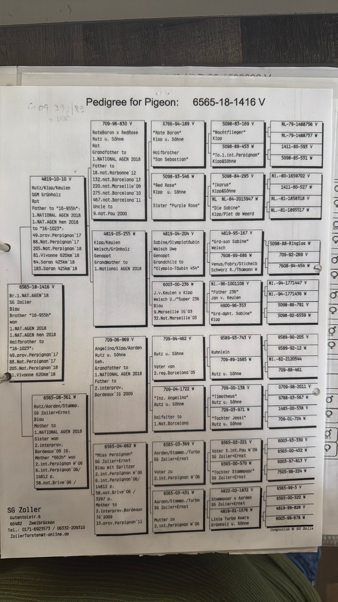 Is de broer van de 1e Nationaal 7e internationaal Agen, Meerdere dieren, Postduif