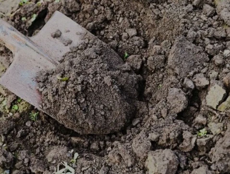 gratis ophalen tuingrond, vulgrond, Tuin en Terras, Aarde en Mest, Ophalen, Overige typen