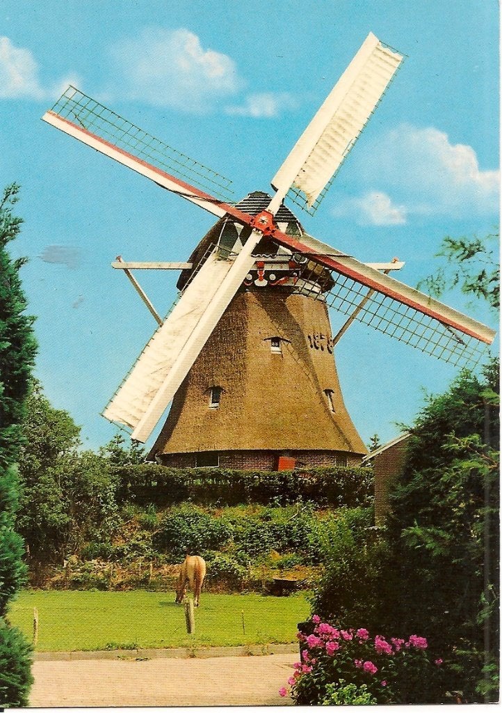 Ansichtkaart Molen De Vlijt Zuidwolde Drenthe 1989, Ophalen of Verzenden, 1980 tot heden, Ongelopen, Drenthe