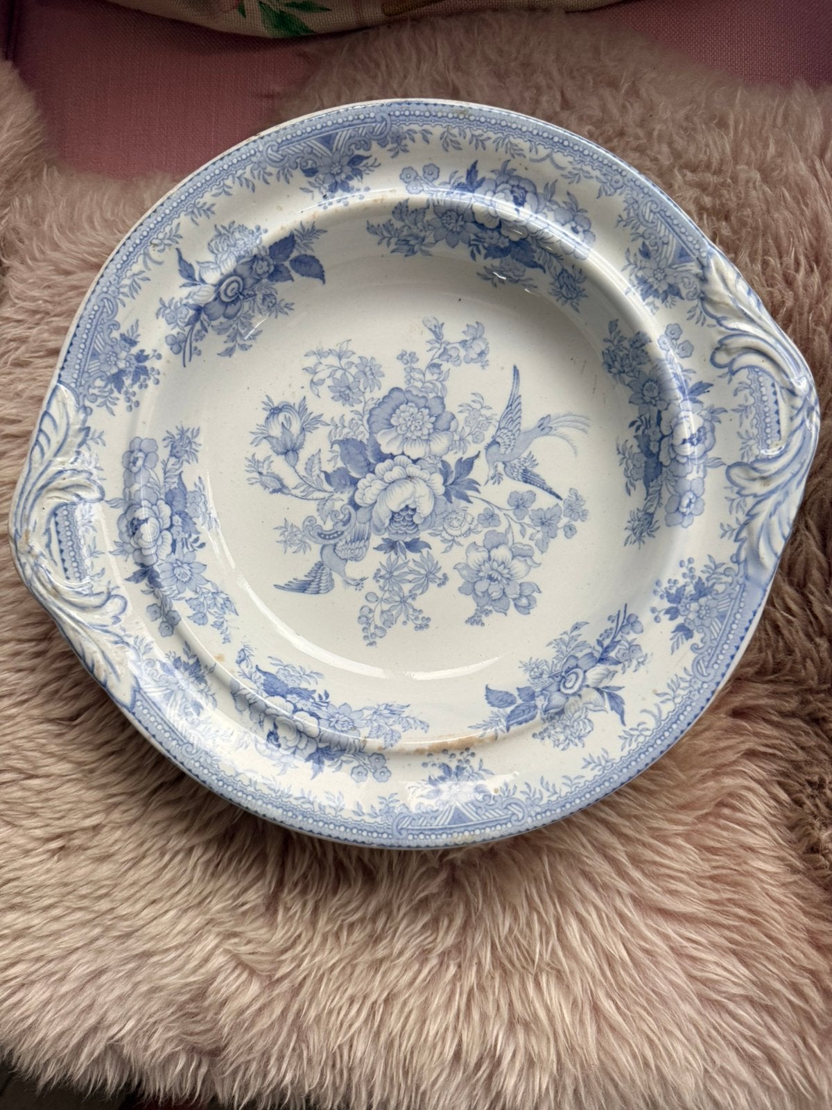 Assiatic Pheasanths Wedgwood 1880 serveerschaal vloeiblauw, Ophalen