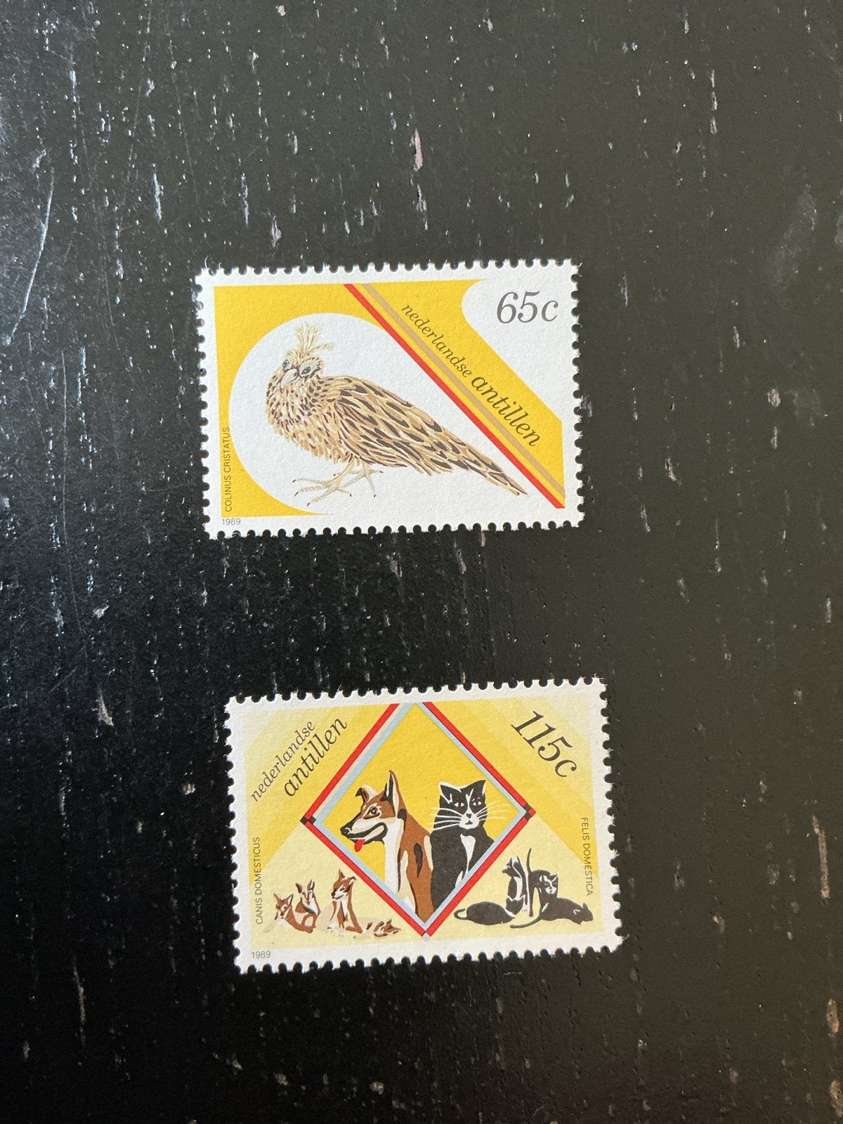 Postzegels Nederlandse Antillen: Vogels en Huisdieren, Ophalen of Verzenden, Postfris