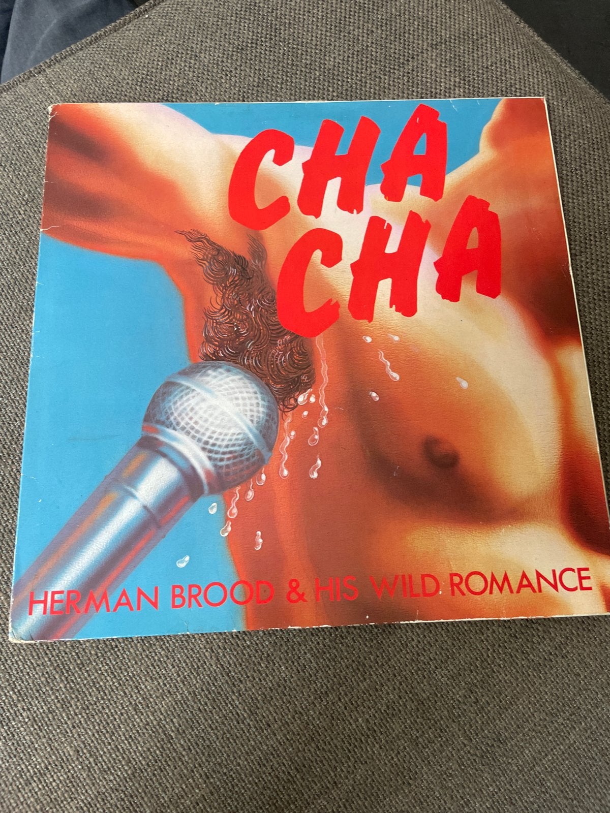 Herman Brood & His Wild Romance - Cha Cha LP, LP, Gebruikt, Ophalen of Verzenden, Classic Rock