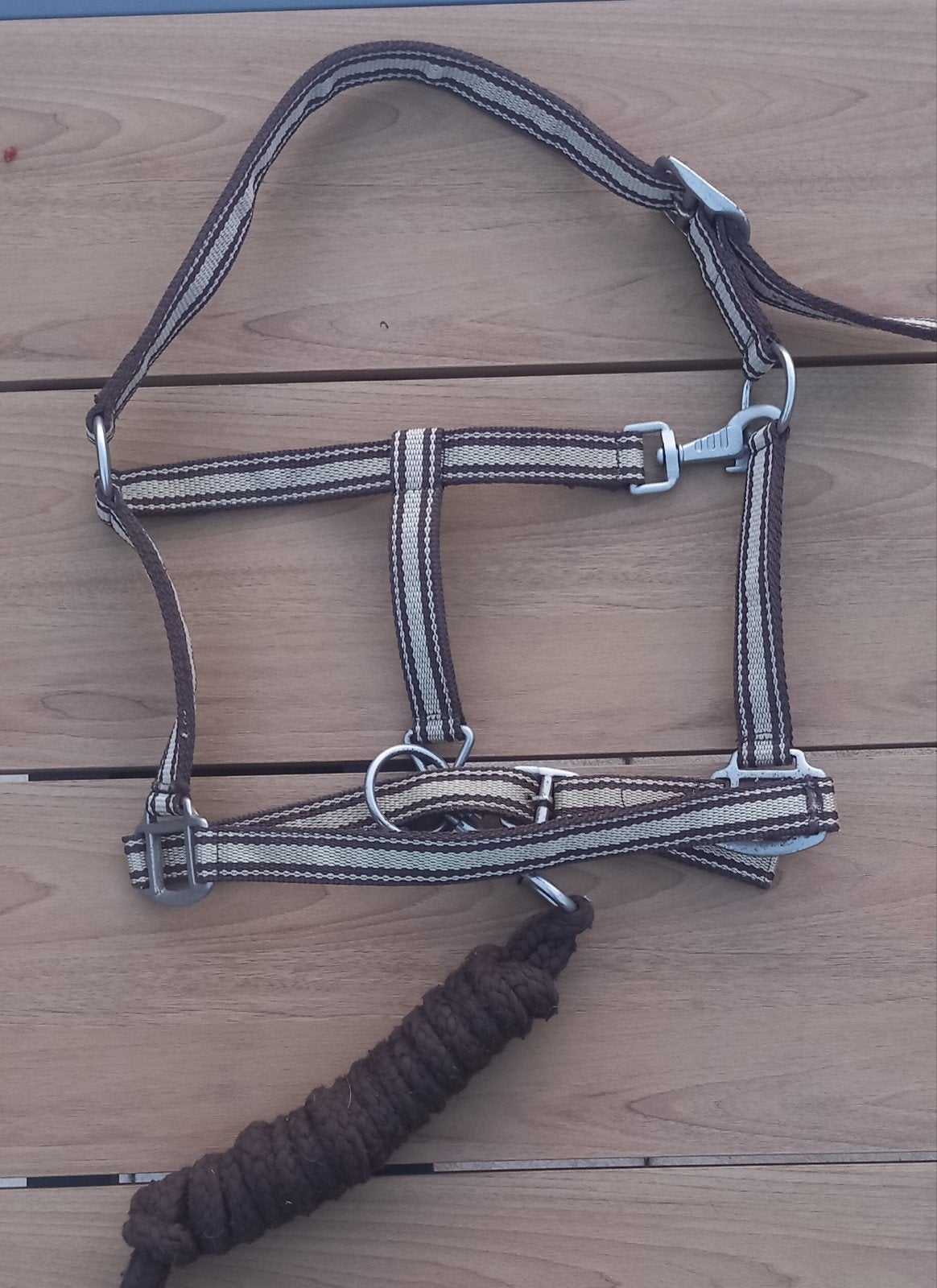 Bruin halster, met bijpassend touw, maat cob, Gebruikt, Ophalen of Verzenden, Halster, Cob