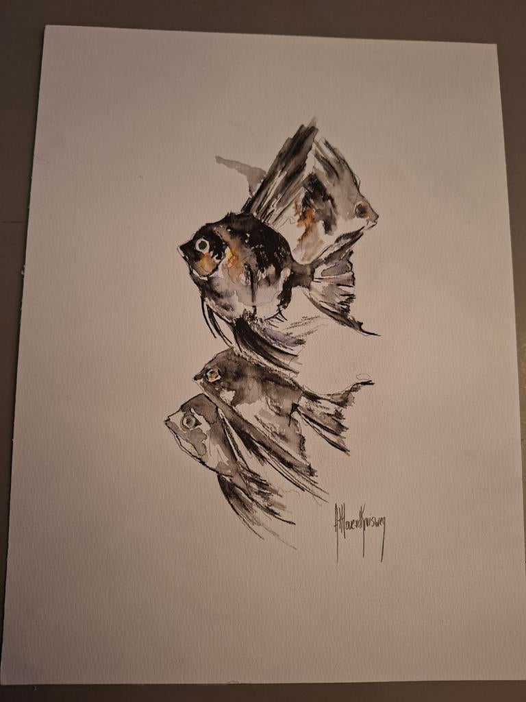 Aquarel tekening vissen A4, Ophalen of Verzenden
